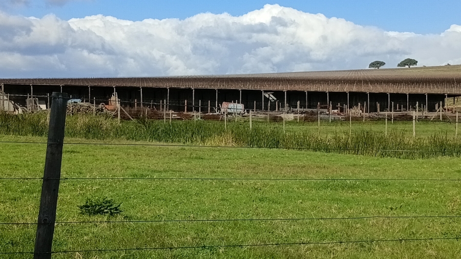 5 Bedroom Property for Sale in Stellenbosch Farms Western Cape